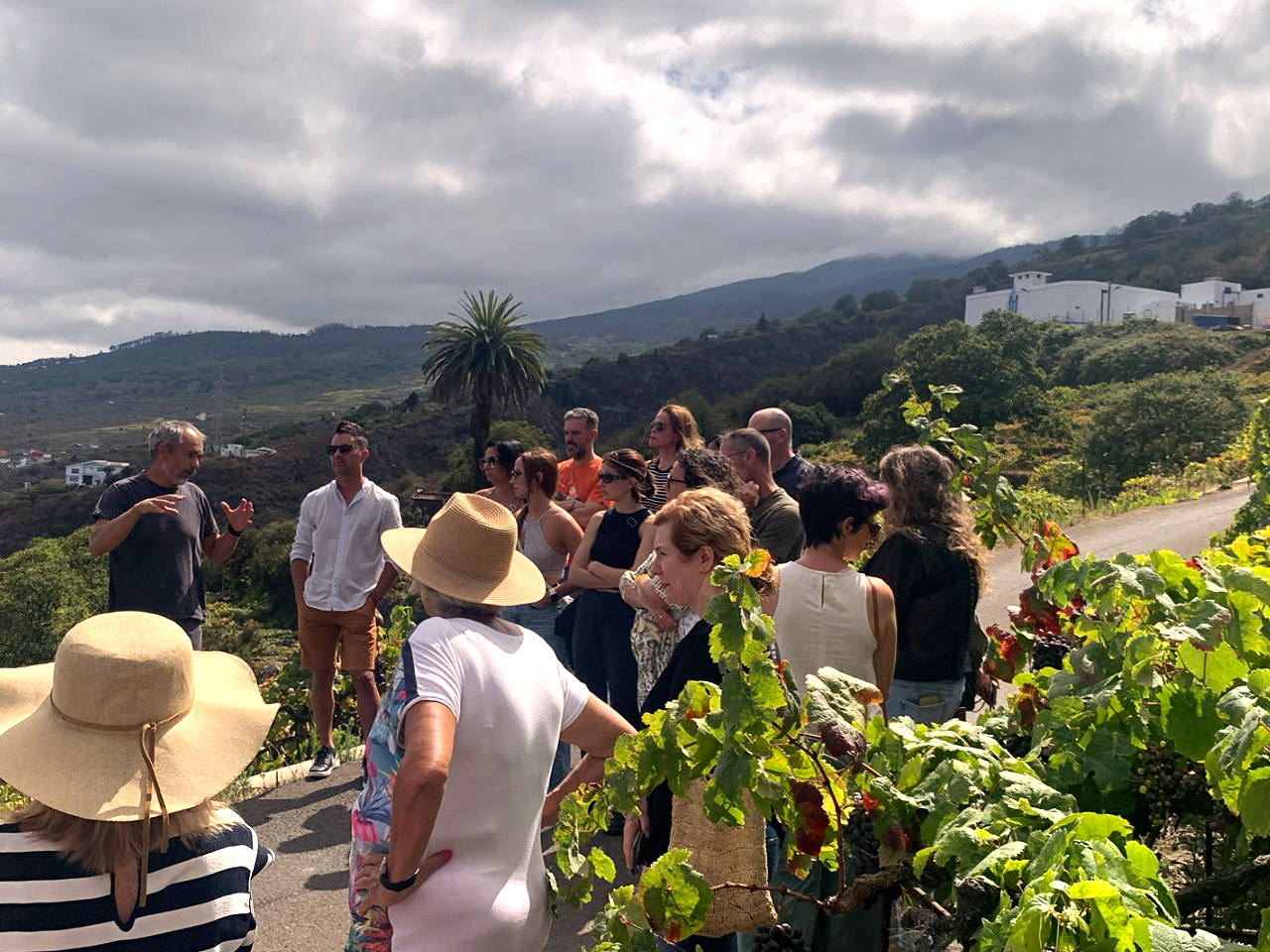 Éxito de la jornada de puertas abiertas de las bodegas de Canary Wine “Descorcha Canarias”